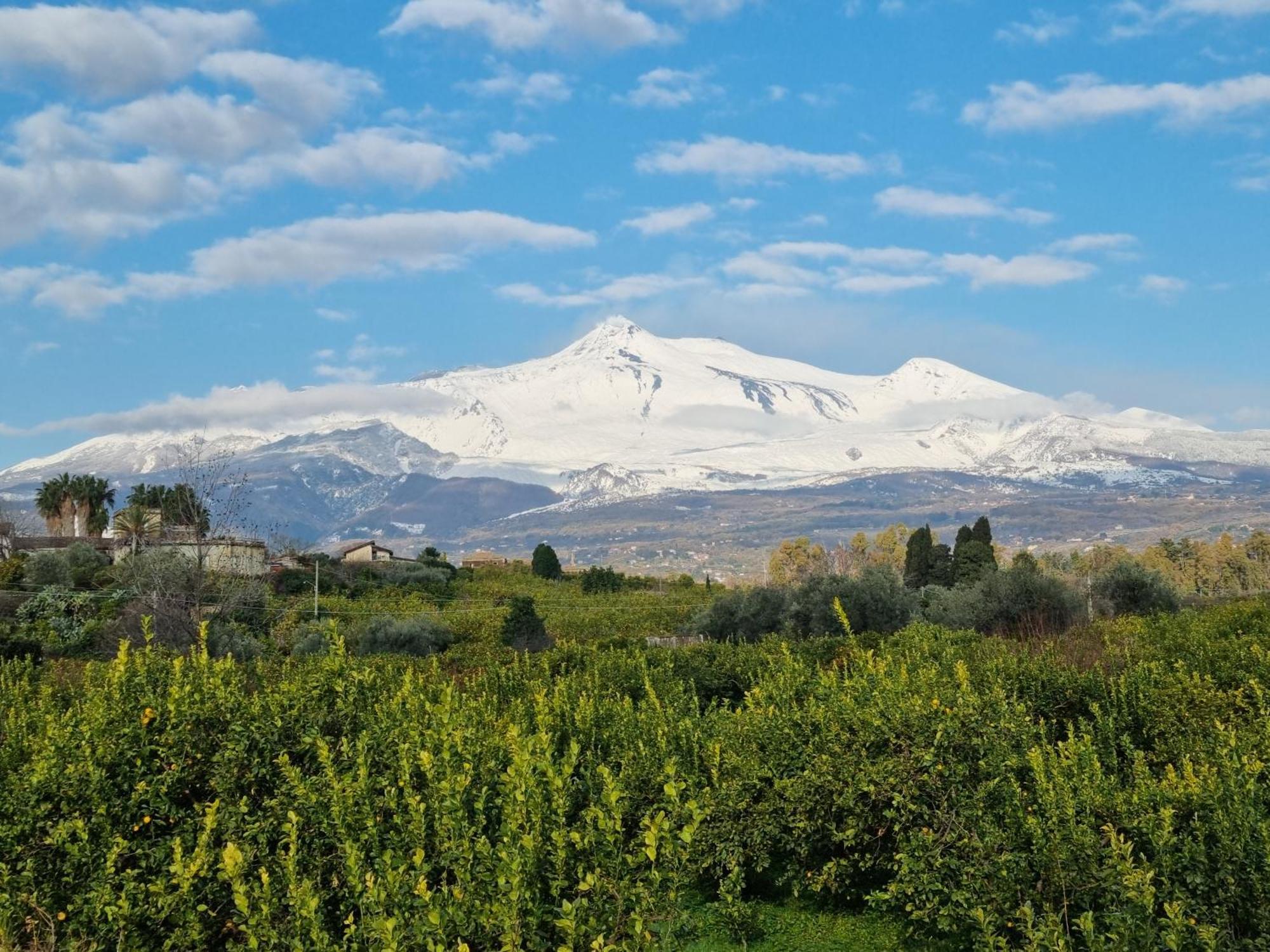 Delightful Relaxing Home With Heated Pool Near Catania, Taormina, The Sea And Mount Etna Giarre Εξωτερικό φωτογραφία